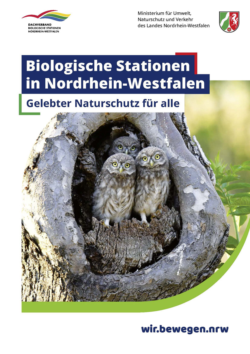 Broschüre Titelseite