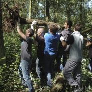 Foto: Jugendcamp bei der Arbeit