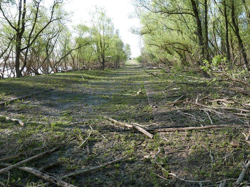 Foto: Entsiegelte Panzerstraße